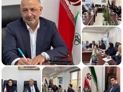 بیمه دی