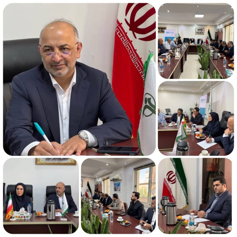بیمه دی