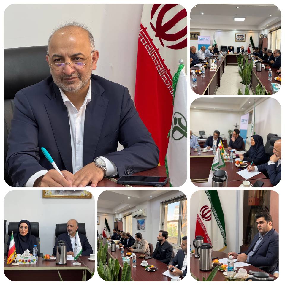 بیمه دی